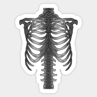 Skeleton Rib Cage  shirt, halloween skeleton,  x-ray shirt Sticker